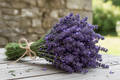 Bundle of English Lavender